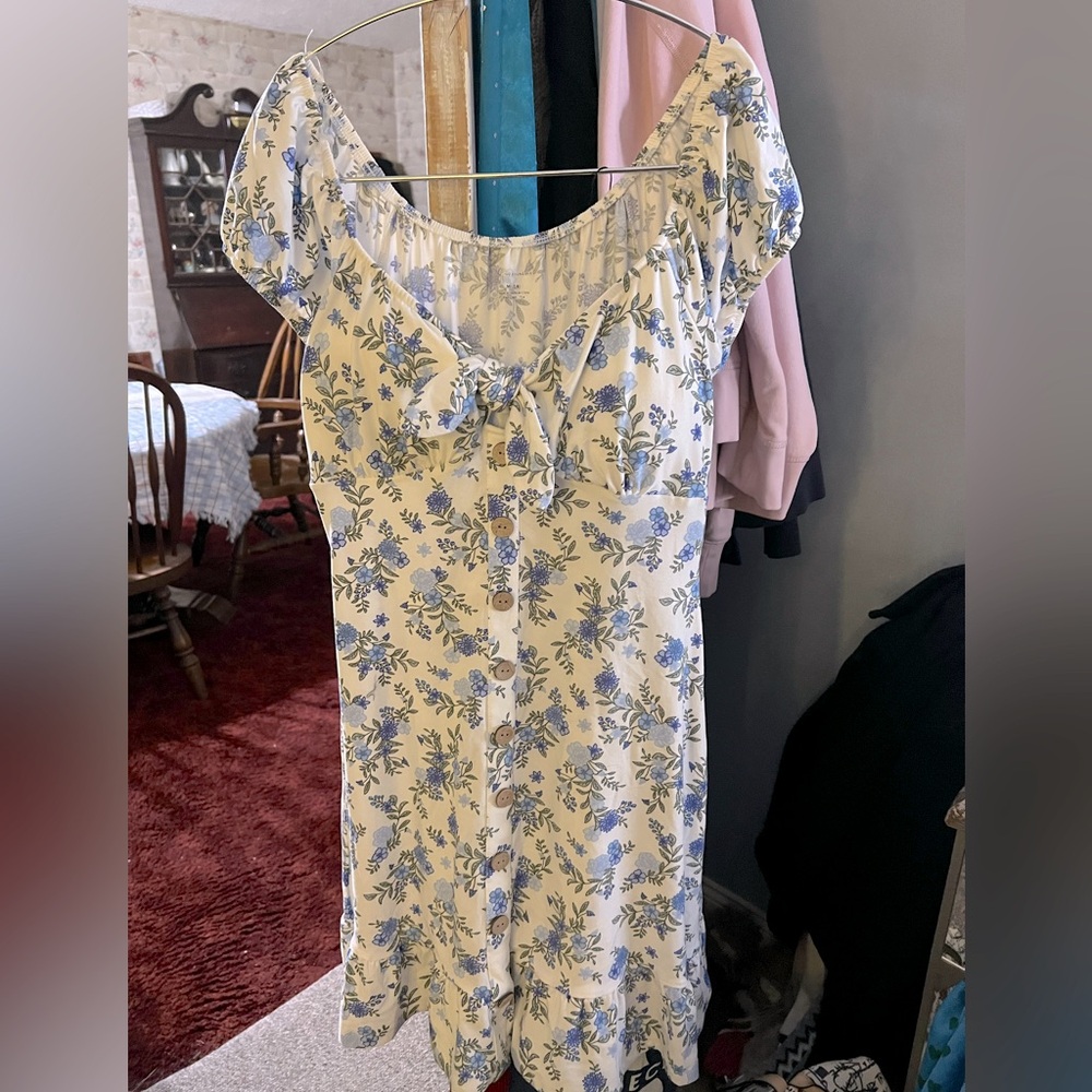Adorable dress with blue flowers